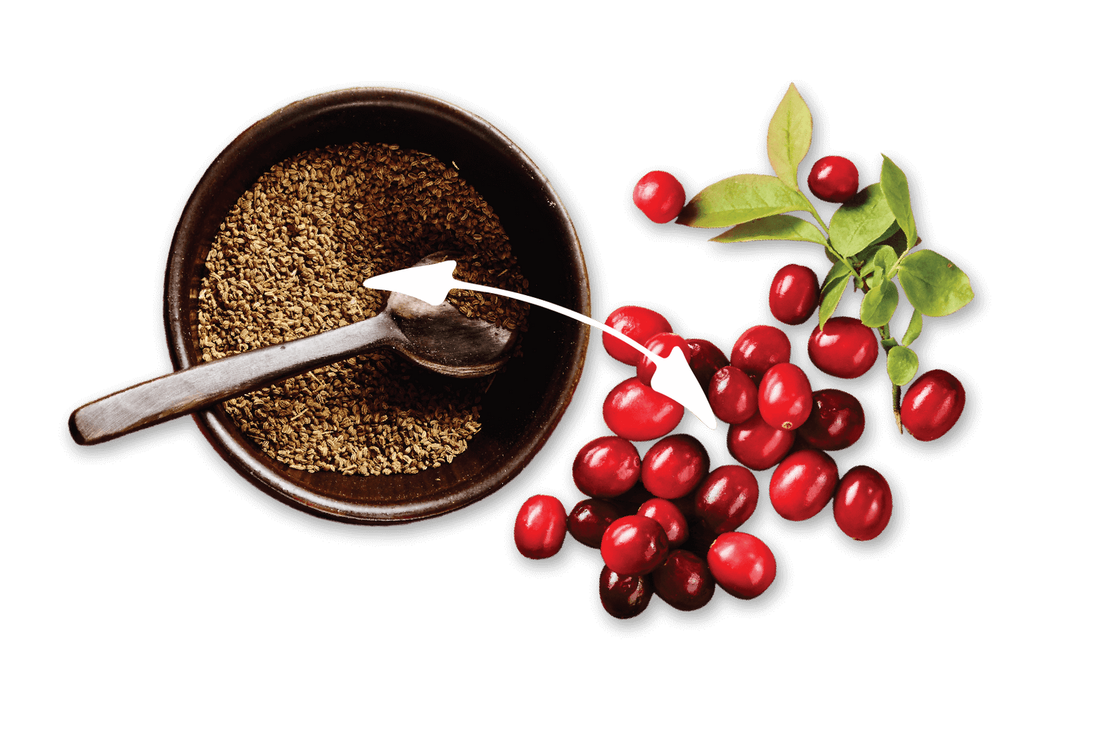 Ingredient