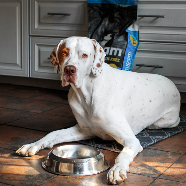 Because Your Pets Deserve Canada’s Cleanest Kibble