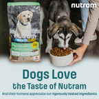 I14 Nutram Ideal Solution Support Skin, Coat & Stomach Puppy