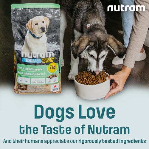 I14 Nutram Ideal Solution Support Skin, Coat & Stomach Puppy