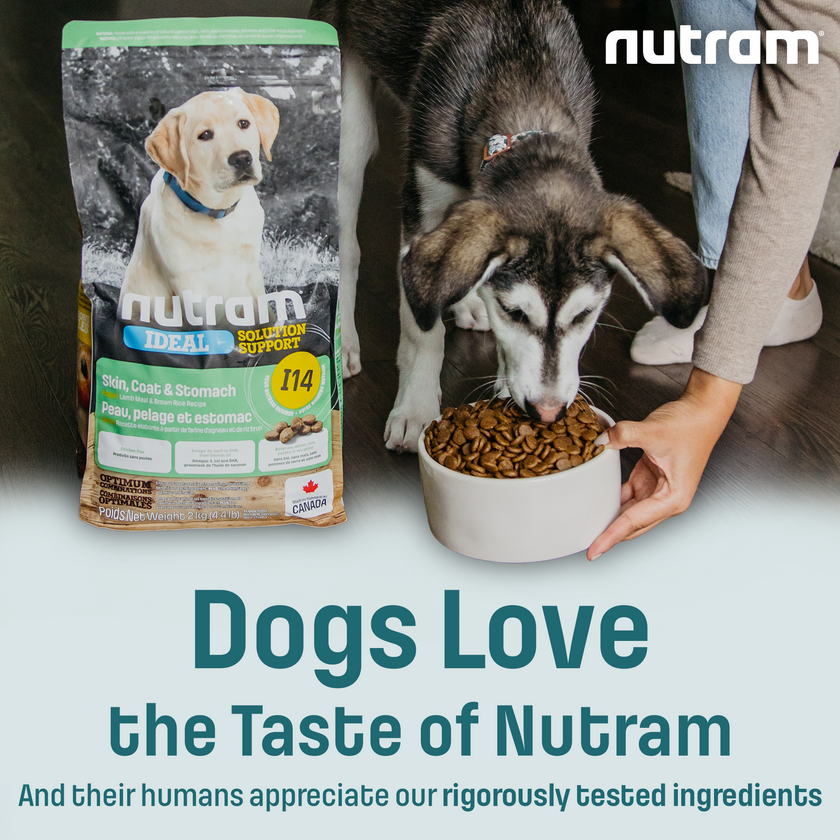 I14 Nutram Ideal Solution Support Skin, Coat & Stomach Puppy