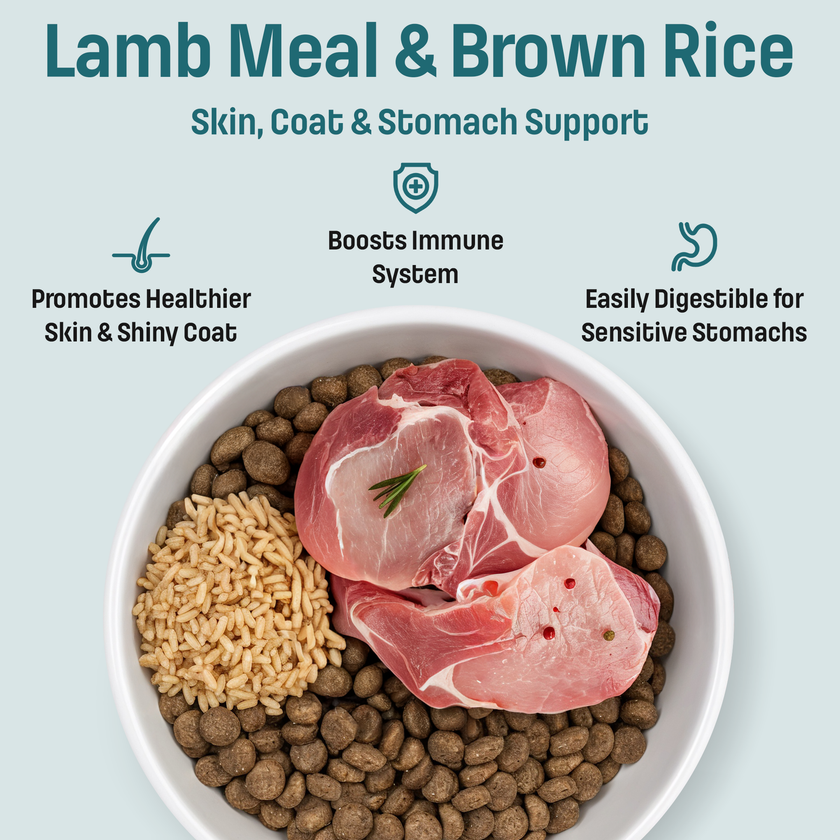 I20 Nutram Ideal Solution Support Skin, Coat & Stomach