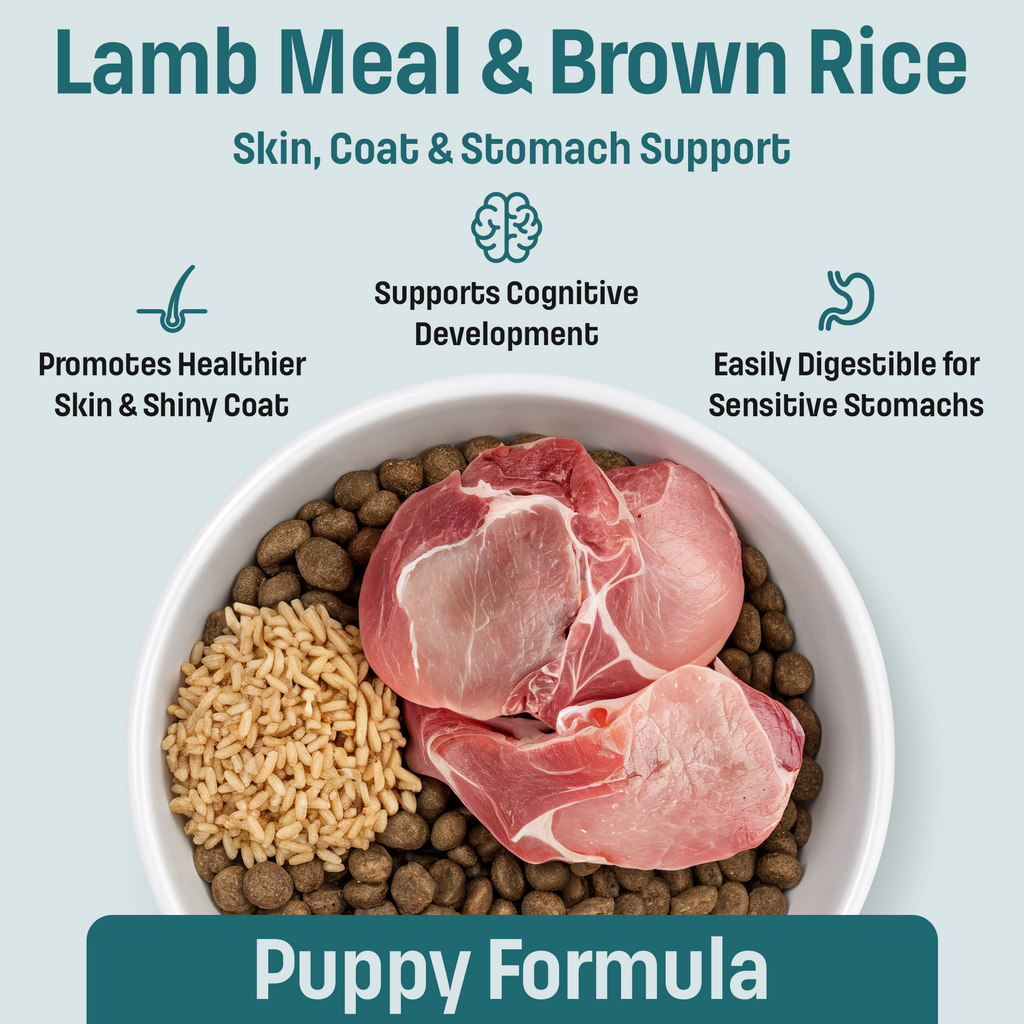 I14 Nutram Ideal Solution Support Skin, Coat & Stomach Puppy