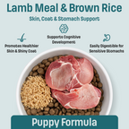 I14 Nutram Ideal Solution Support Skin, Coat & Stomach Puppy