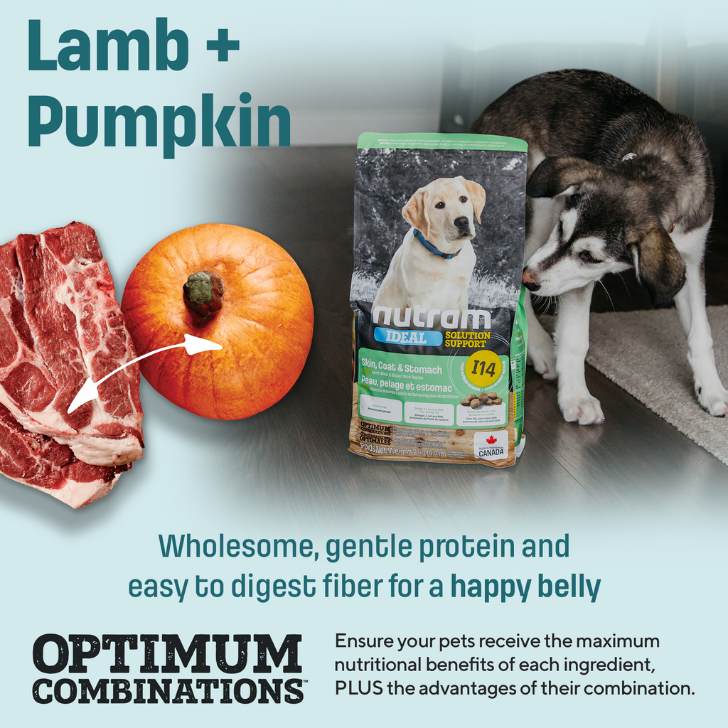 I14 Nutram Ideal Solution Support Skin, Coat & Stomach Puppy