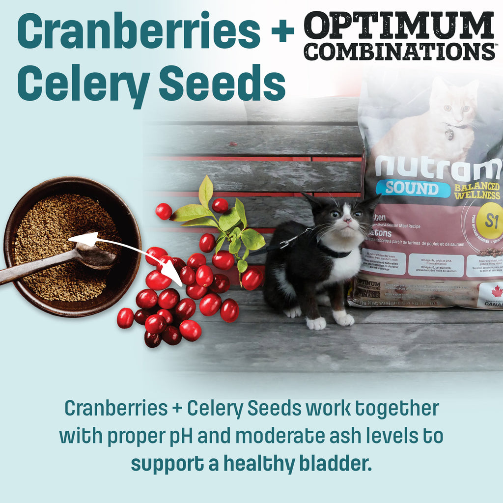 S1 Nutram Sound Balanced Wellness Kitten