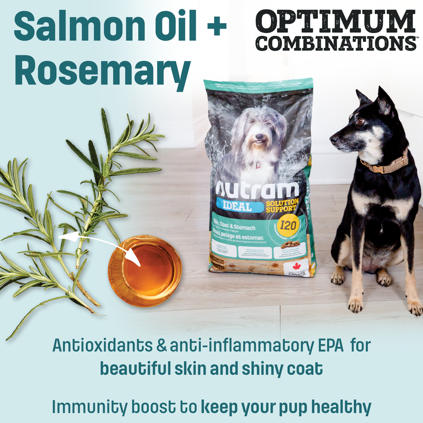 I20 Nutram Ideal Solution Support Skin, Coat & Stomach