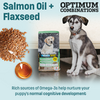 I14 Nutram Ideal Solution Support Skin, Coat & Stomach Puppy