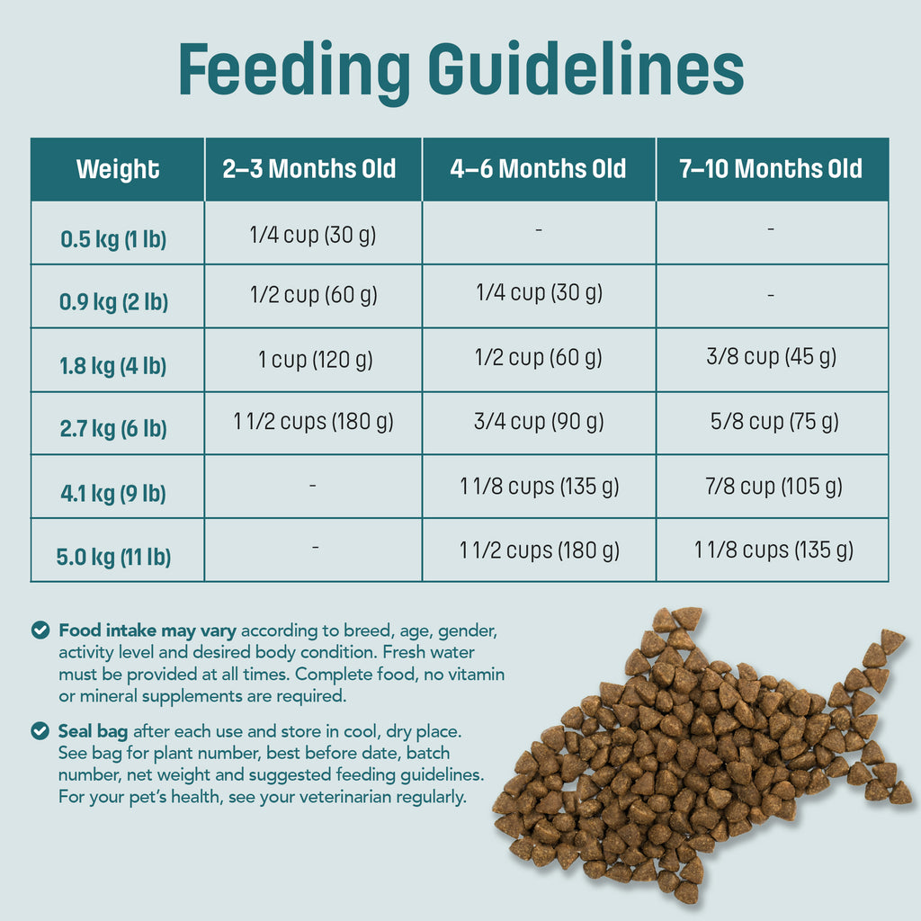 S1 Nutram Sound Balanced Wellness Kitten