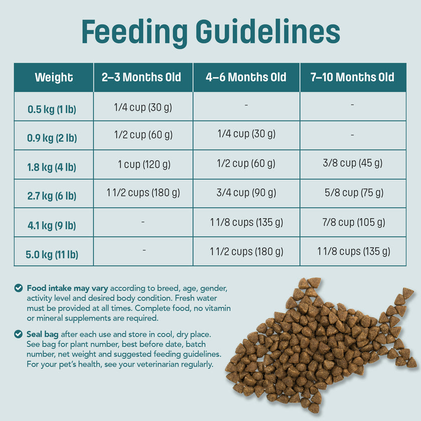 S1 Nutram Sound Balanced Wellness Kitten