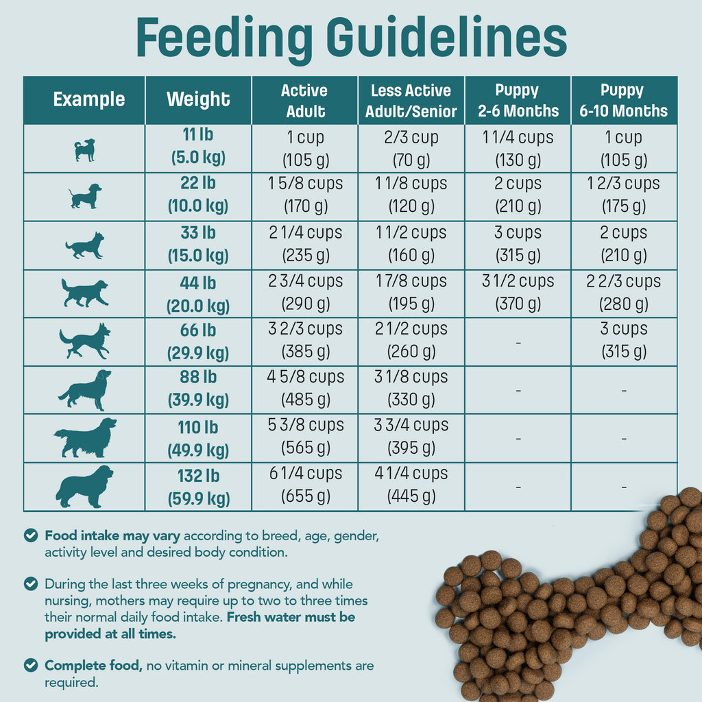 T26 Nutram Total Grain-Free All Life Stages