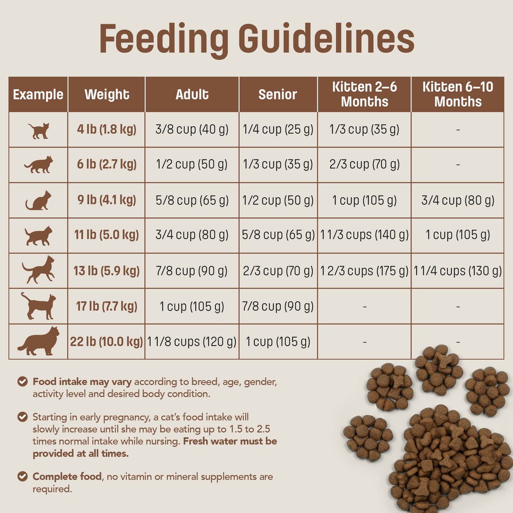 T22 Nutram Total Grain-Free All Life Stages