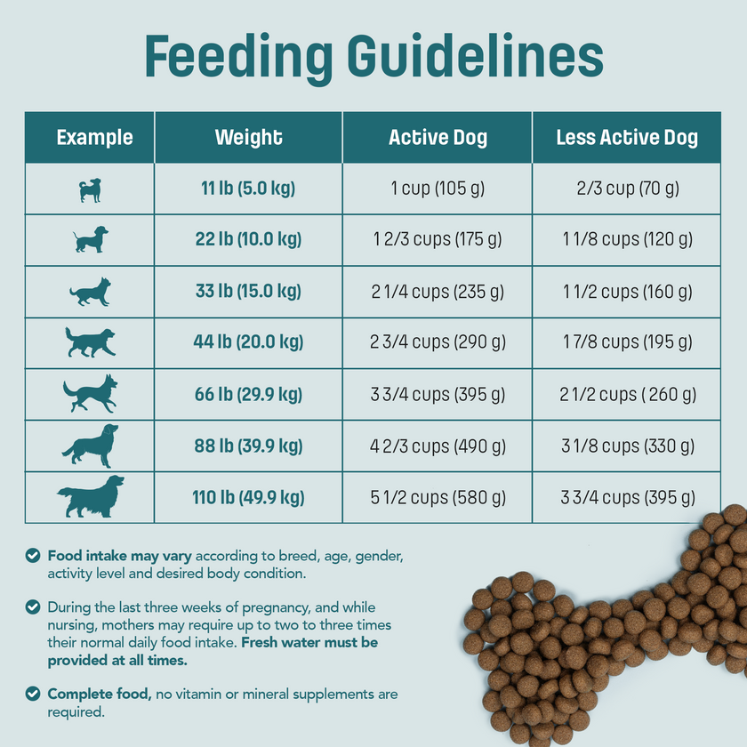 I20 Nutram Ideal Solution Support Skin, Coat & Stomach