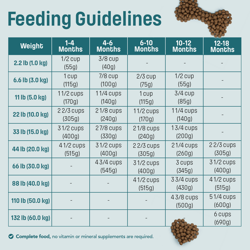 I14 Nutram Ideal Solution Support Skin, Coat & Stomach Puppy