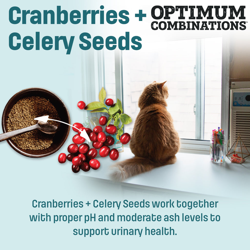 I12 Nutram Ideal Solution Support Weight Control