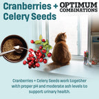 I12 Nutram Ideal Solution Support Weight Control