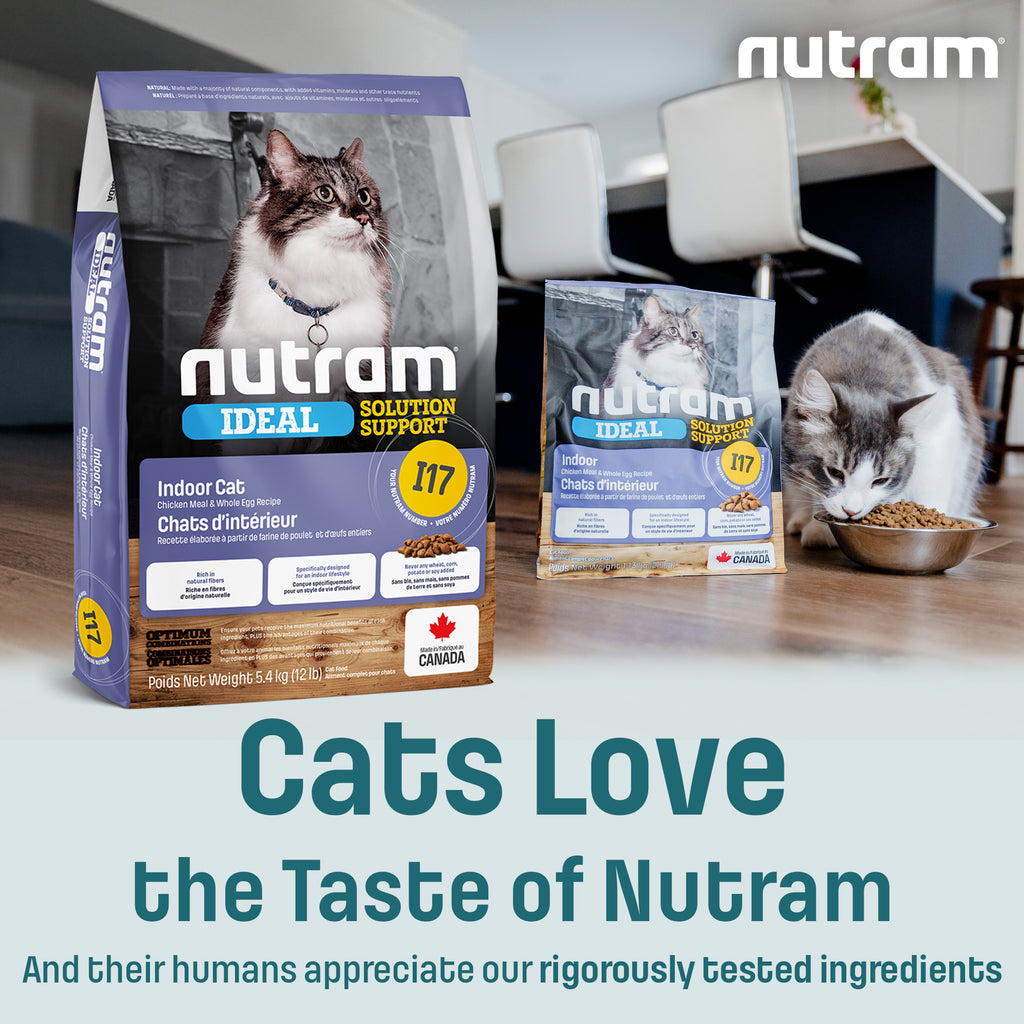 I17 Nutram Ideal Solution Support Indoor
