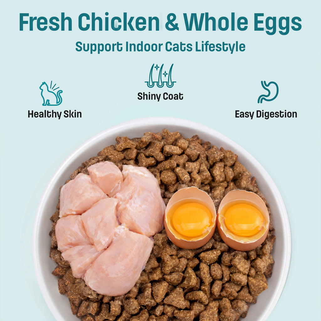 I17 Nutram Ideal Solution Support Indoor