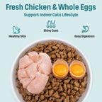 I17 Nutram Ideal Solution Support Indoor