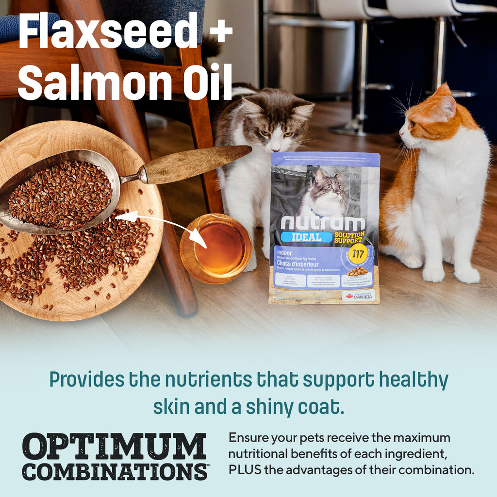 I17 Nutram Ideal Solution Support Indoor