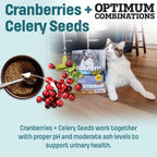 I17 Nutram Ideal Solution Support Indoor