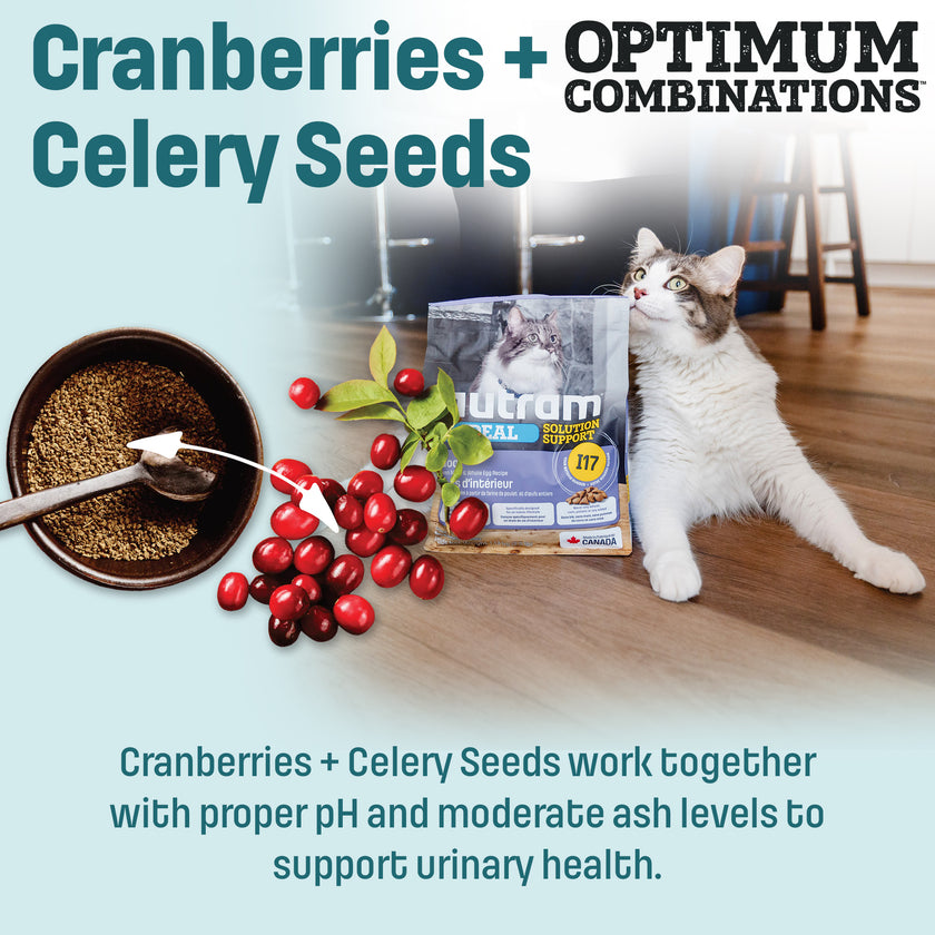 I17 Nutram Ideal Solution Support Indoor