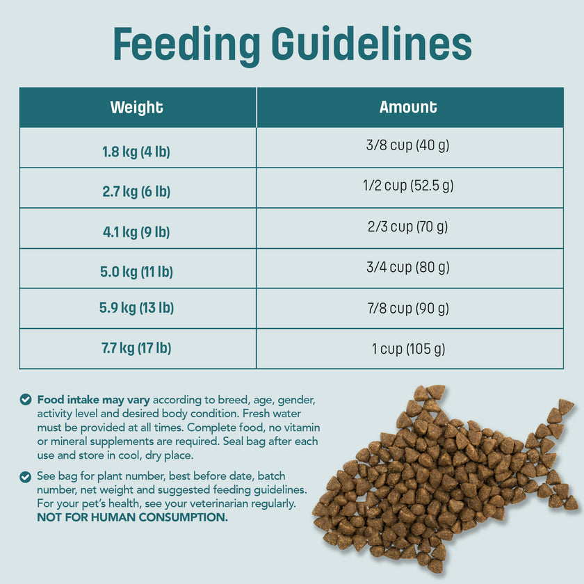I19 Nutram Ideal Solution Soutient la peau, le pelage et l'estomac