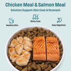 I19 Nutram Ideal Solution Support Skin, Coat & Stomach