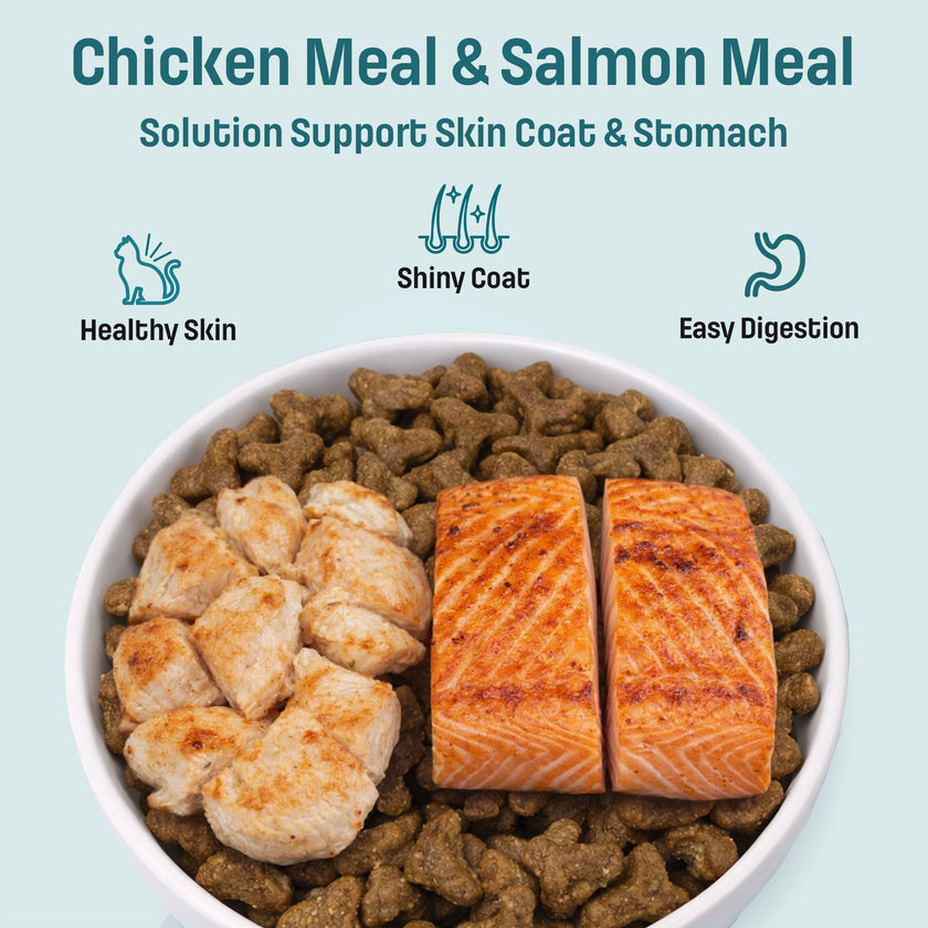 I19 Nutram Ideal Solution Soutient la peau, le pelage et l'estomac