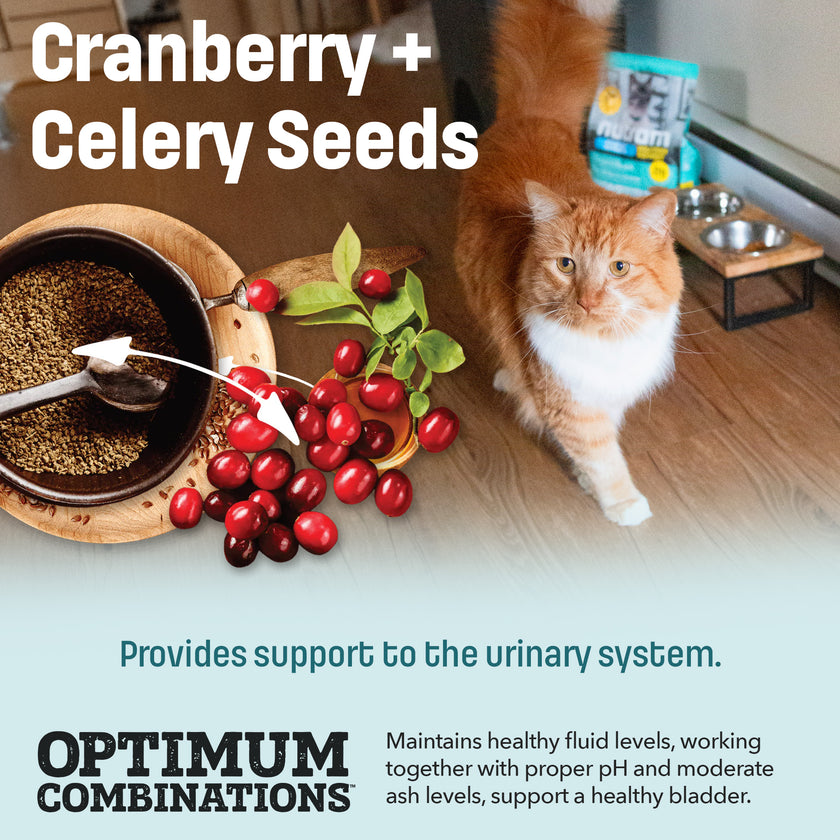 I19 Nutram Ideal Solution Soutient la peau, le pelage et l'estomac