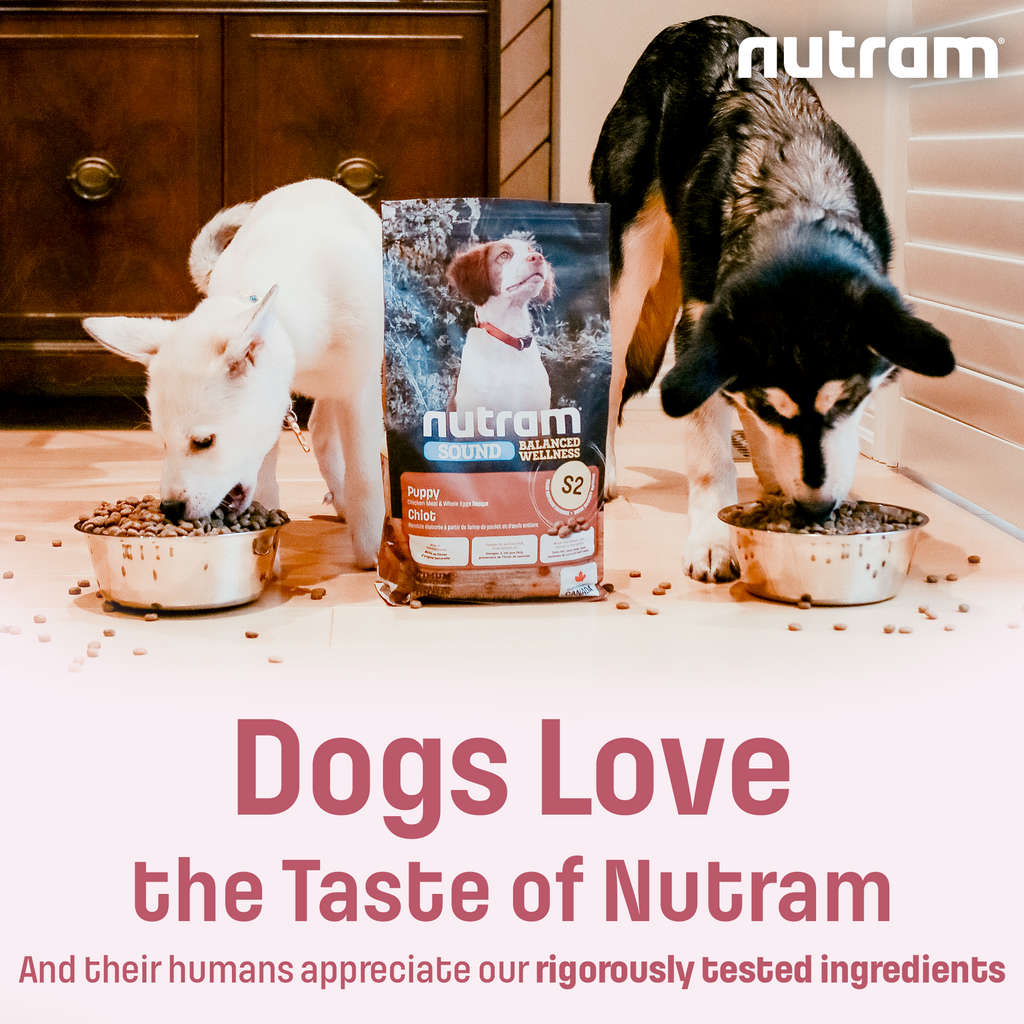 S2 Nutram Sound Balanced Wellness Puppy