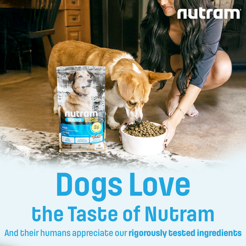 S6 Nutram Sound Balanced Wellness Adult