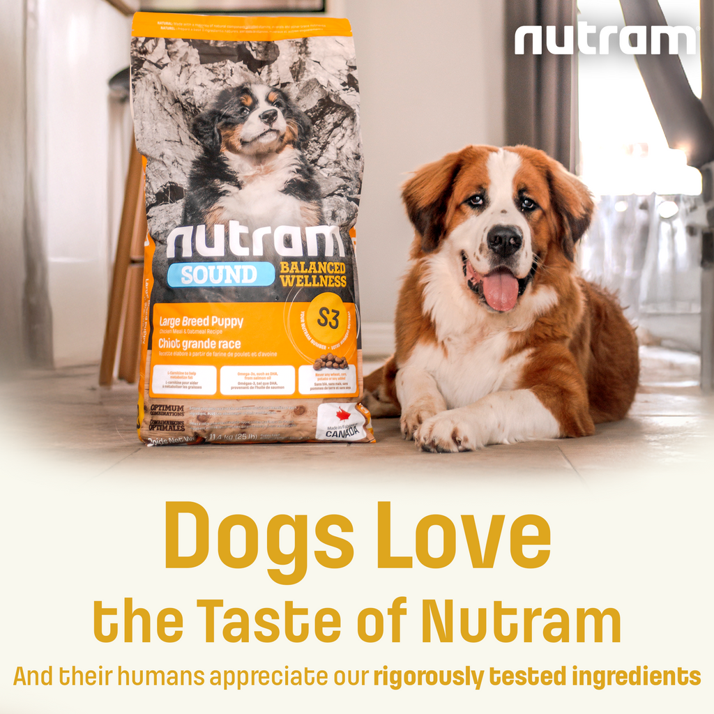 S3 Nutram Sound Balanced Wellness Large Breed Puppy