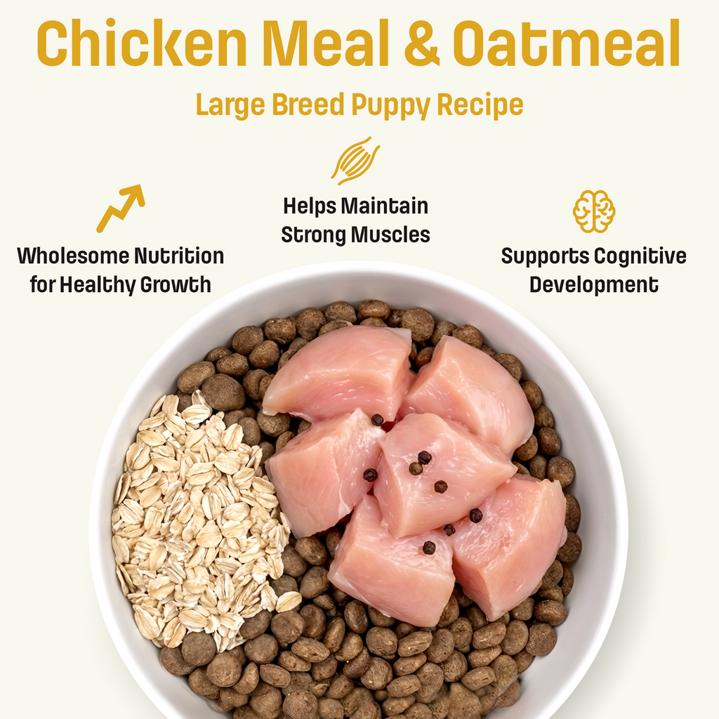 S3 Nutram Sound Balanced Wellness Large Breed Puppy