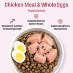 S2 Nutram Sound Balanced Wellness Puppy