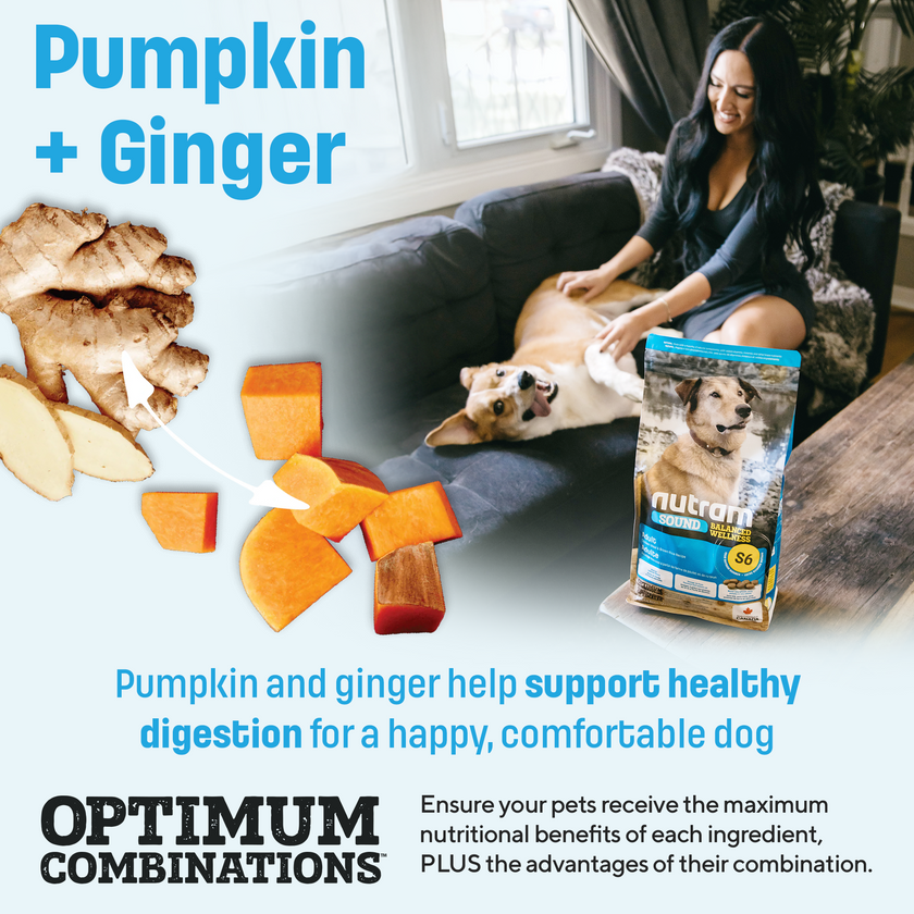 S6 Nutram Sound Balanced Wellness Adult