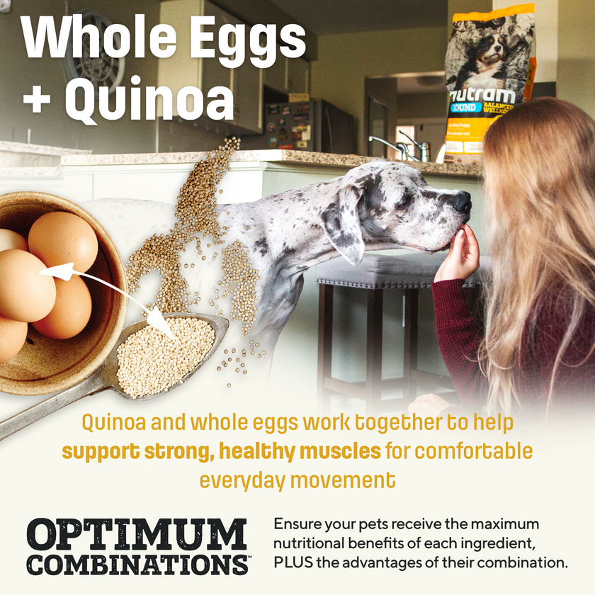 S3 Nutram Sound Balanced Wellness Large Breed Puppy