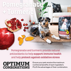 S2 Nutram Sound Balanced Wellness Puppy