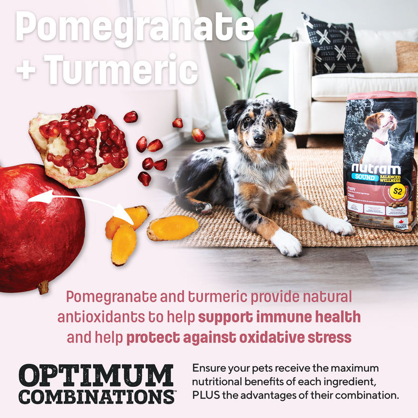 S2 Nutram Sound Balanced Wellness Puppy