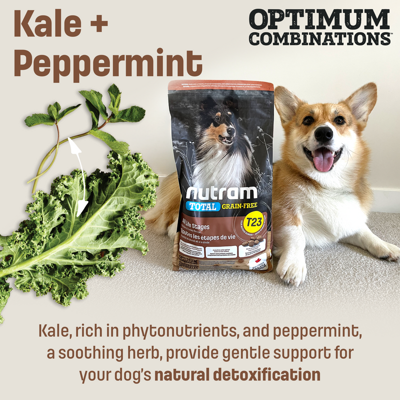 Grain-Free – Nutram