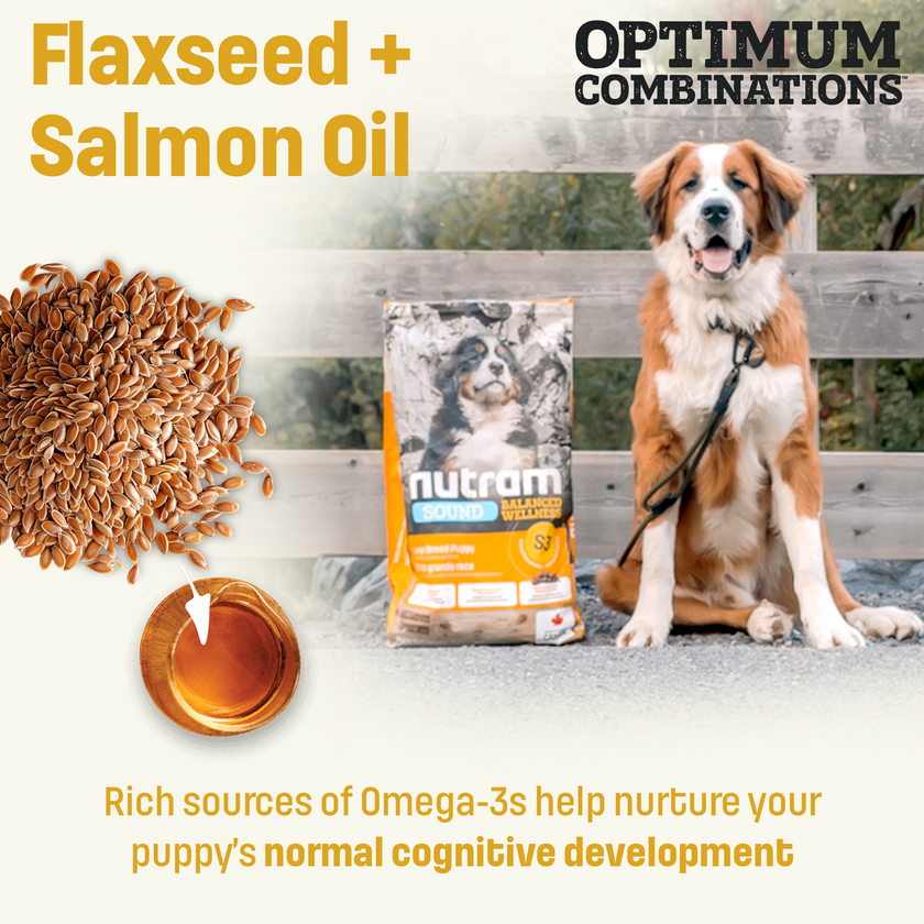 S3 Nutram Sound Balanced Wellness Large Breed Puppy