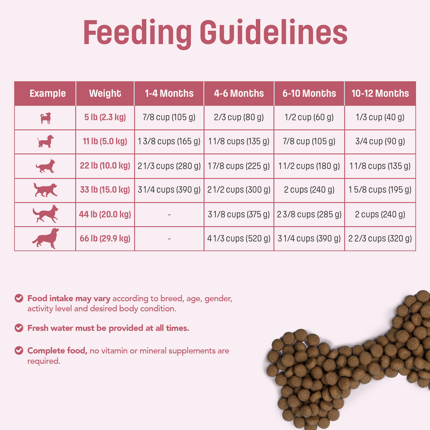 S2 Nutram Sound Balanced Wellness Puppy