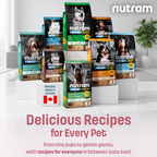 S2 Nutram Sound Balanced Wellness Puppy
