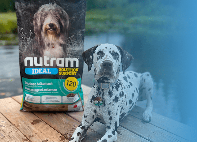 Quel est votre numéro Nutram?