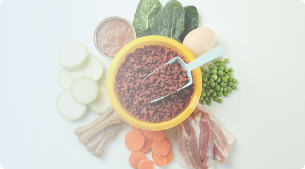 Holistic, Natural Nutrition