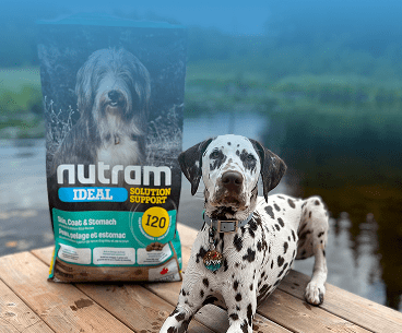 Quel est votre numéro Nutram?