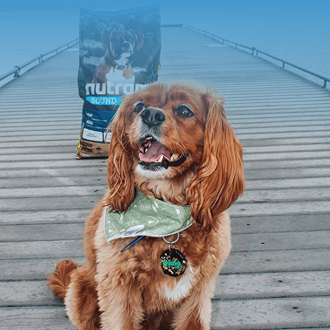 Not Sure Which Recipe Fits Best?