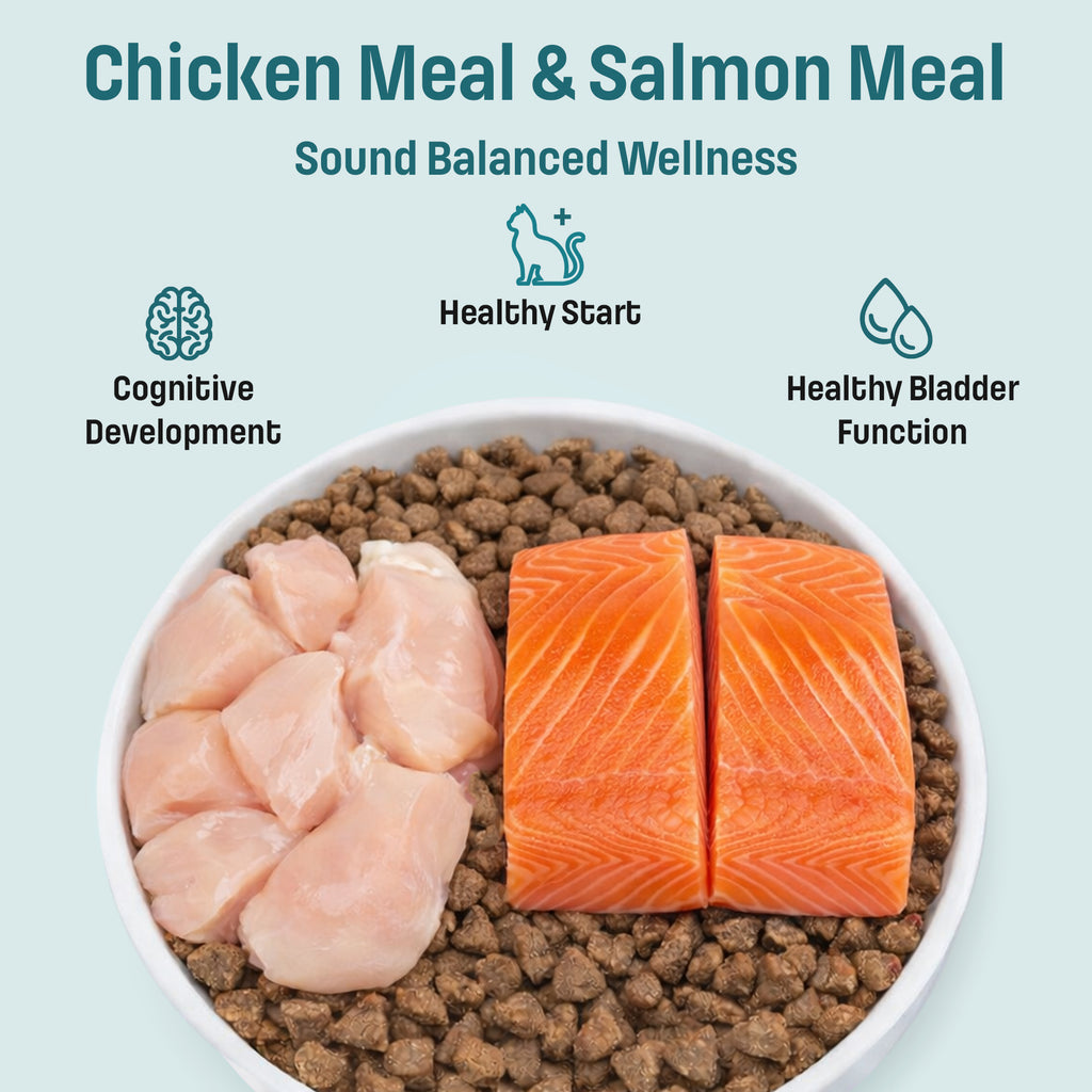 S1 Nutram Sound Balanced Wellness Kitten