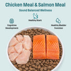 S1 Nutram Sound Balanced Wellness Kitten