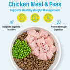 I18 Nutram Ideal Solution Support Weight Control